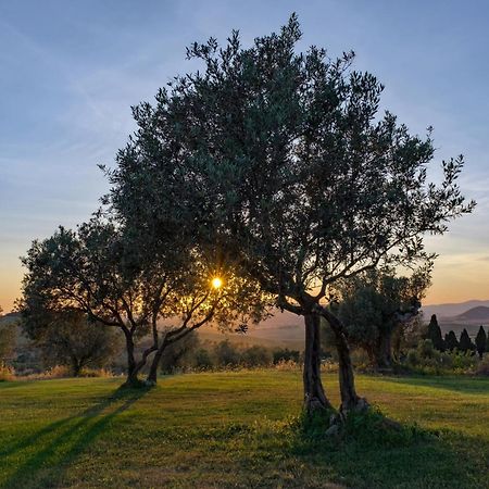 La Marrana - Castello Del Terriccio Villa คาสเตลลินา มาริตติมา ภายนอก รูปภาพ