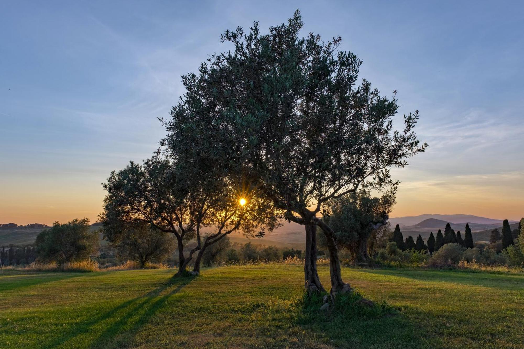 La Marrana - Castello Del Terriccio Villa คาสเตลลินา มาริตติมา ภายนอก รูปภาพ